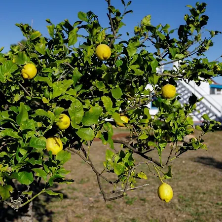 Rebecca Penzion Nardò