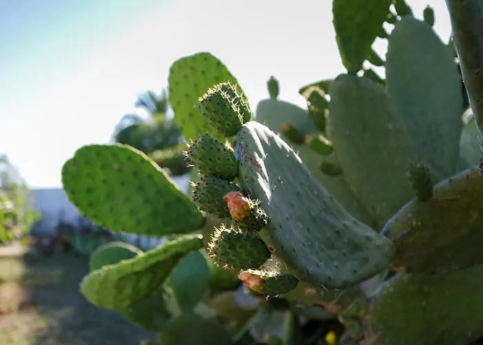 بيت ضيافة Rebecca 3*