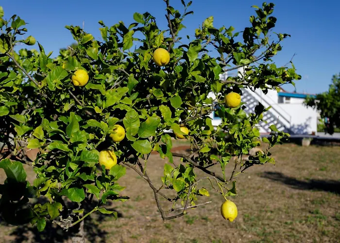 Rebecca بيت ضيافة Nardò